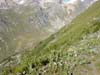 Col de L'Iseran